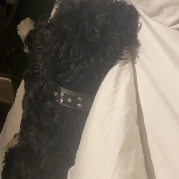 Meet your Posher, Kim - Picture 1 of 1